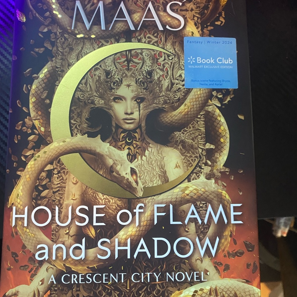 House of Flame and Shadow Book